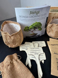 AverGo Bonsai Growing Garden Kit