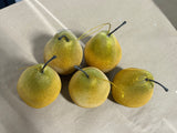 Pear Ornaments, 5 pc