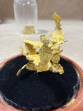 (B) Crystalized Gold Replicas In Dome Case