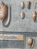 (X) Mixed-Media Style Shell Print; Signed