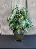 Faux Dumb Cane Plant in Metal Planter