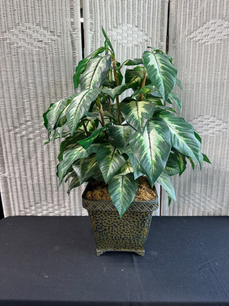 Faux Dumb Cane Plant in Metal Planter