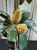 Large Faux Magnolia Topiary