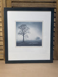In Just Spring Print by Richard Calvo; Signed