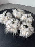 5-Piece Faux Owl Feather Furry Pumpkins