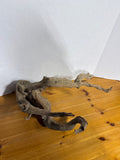 Large Piece Of Driftwood (B)