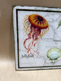 Glass Ocean Life Wall Decor With Box