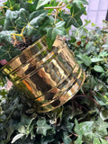 Lot Of Artificial Ivy