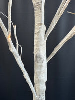 LED White Birch Tree with Posable Branches (WORKS)