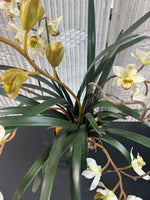Large Faux Cymbidium Orchid in Resin Pot