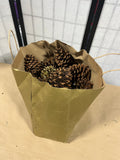 Pine Cone Lot