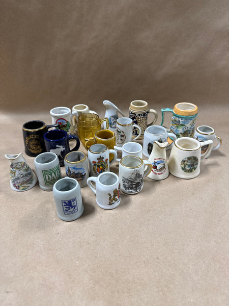 (A) 22 Piece Mini Stein Souvenir Glasses