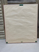 Rose Botanical Print