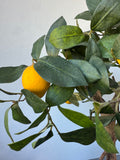 Artificial Lemon Tree in Resin Pot
