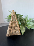 Trailing Ivy in Woven Hanging Basket