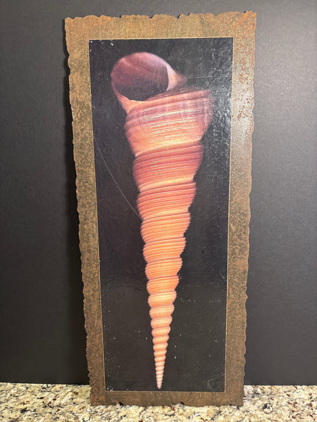 (A) Shell Picture on Rustic Metal Wall Decor