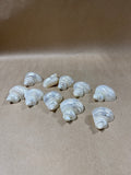 10-Piece Seashell Napkin Rings // 2 Sets Available // PRICED INDIVIDUALLY  (FF)
