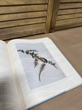 The Birds Of America Water Color Paintings Coffee Table Book