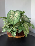 Faux Assorted Greenery in Woven Basket Planter