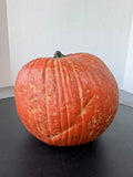 Realistic Resin Pumpkin