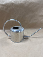 Stainless Steel Watering Can