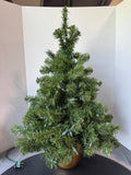 2.5FT Prelit Faux Fir Christmas Tree in Plastic Pot
