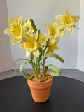 Faux Daffodils in Terra Cotta Pot