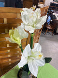 Faux White Amaryllis Flowers in Ceramic Pot (A)