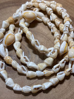 Shell Necklace