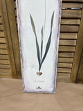 Tall Ixia Filiformis Print on Burlap