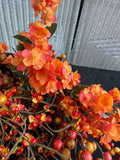 Assorted Lot of Autumn Faux Florals & Picks