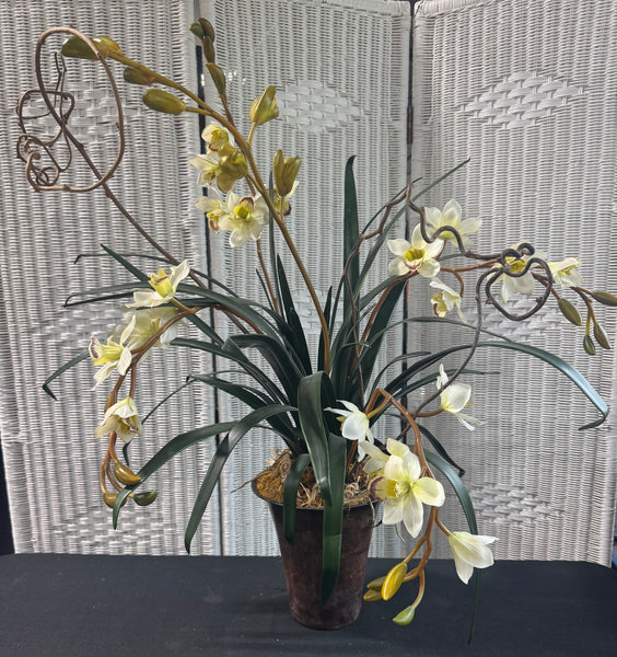 Large Faux Cymbidium Orchid in Resin Pot