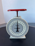 Hanson Model 2000 Vintage Utility Scale