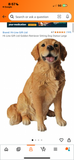 Hi-Line Gift LTD Golden Retriever Sitting Dog Statue