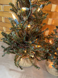 Pair of Faux Christmas Trees with Burlap Base; with Light Strands, 22"H