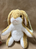 Velveteen Rabbit Book And Velveteen Rabbit Plush