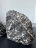 Pair of Polished Orthoceras Cephalopod Fossil Inlay Heavyweight Limestone Bookends