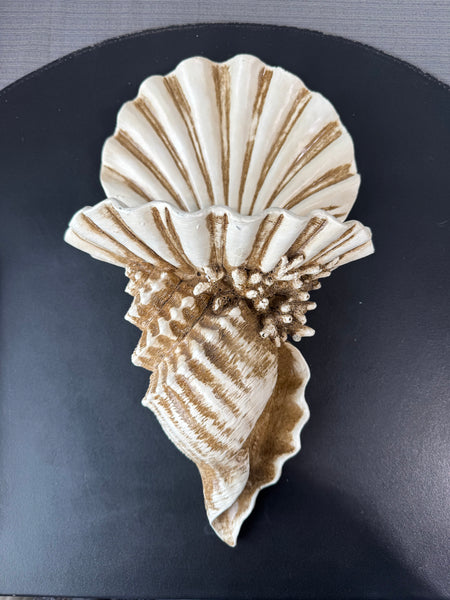 (A) Heavyweight Distressed Resin Seashell Wall Shelf