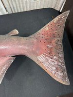 Chinook King Salmon Taxidermy Mount AS IS (READ DESCRIPTION CAREFULLY)