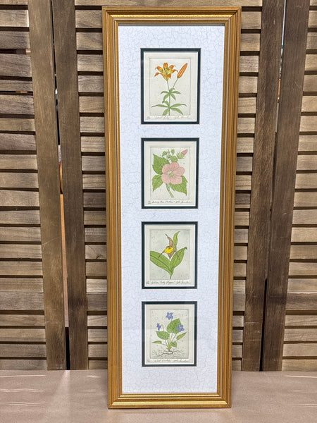 (A) Panel of Four Botanical Prints; Signed & Numbered - John Furches