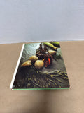 Lot Of 3 Foods Of The World Books