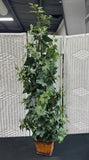 4FT Artificial Ivy & Bamboo Topiary