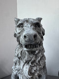 Pair of Plaster Gargoyle Style Wolf Garden Sculptures or Halloween Decor