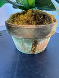 Faux White Orchids in Terracotta Pot