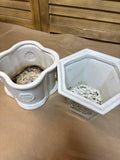 Pair of Small Planters
