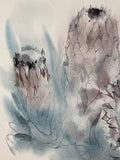 Protea Watercolor Print by Meyer Garlen; Signed