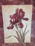 Iris Print