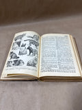 Pair Of Vintage Dictionaries