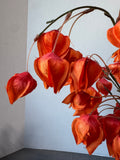 Faux Orange Chinese Lantern Flowers in Ceramic Vase