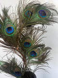 Pacific Rim Blue Fluted Ceramic Vase with Peacock Feathers